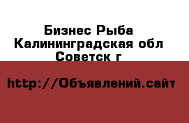 Бизнес Рыба. Калининградская обл.,Советск г.